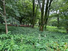 -三鹰之森吉卜力美术馆