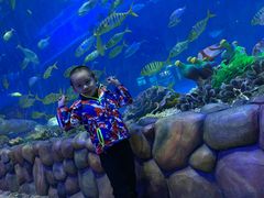 -华夏文旅海洋公园