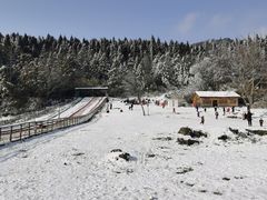 -武陵山森林公园