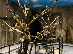 -zoonana室内动物园(东方福来德店)