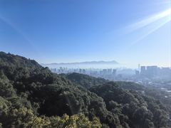-福道