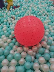 -宝贝渡口儿童游乐园(华南安盛店)