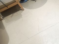 -藏猫猫咖啡主题馆(中央大道店)