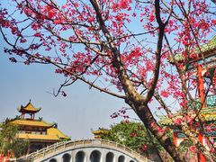 -宝墨园景区