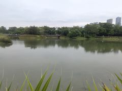 -福田红树林生态公园