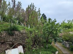 -桃源山庄·水蜜桃采摘·柴火鸡·烧烤团建(龙泉山店)