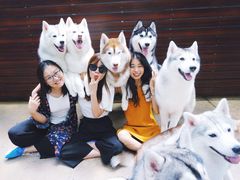 -TrueLove @ Neverland (Husky Cafe)