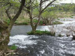 android_upload_pic-彩虹桥