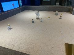 -真枪会射击俱乐部(河西中央公园店)