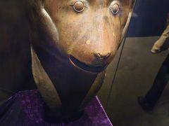 -珠海市博物馆