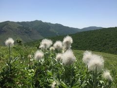 -北京灵山风景区