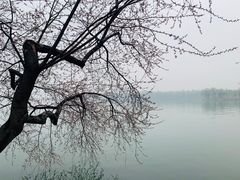 -颐和园