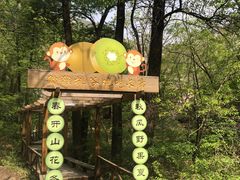 -大岭沟猕猴桃谷风景区