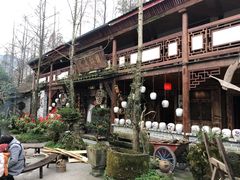 -青城甲(青城山店)