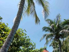 -三亚海棠湾万丽度假酒店