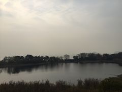 -上海市保健医疗中心(华东疗养院)