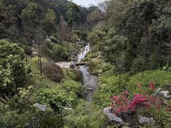 -云溪植物园