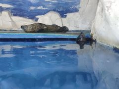 -左海海底世界