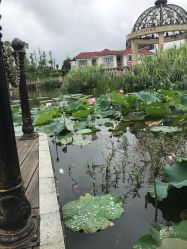 -安贝儿月子中心