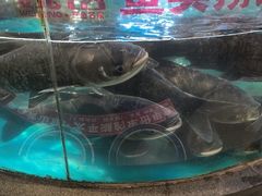 -魏铭鱼头捞饭(晋阳路店)