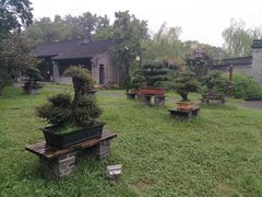 -盆景园(扬州大运河文化旅游度假区)