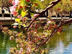 -元大都城垣遗址公园