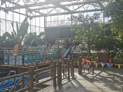 -南宫五洲植物乐园