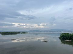 -洱海月湿地公园