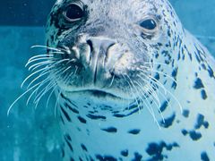 -青岛海底世界-水族馆
