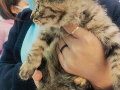 -纳吉亚猫专科动物医院博雅分院