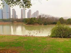 景点-艾溪湖湿地公园