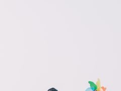 -南湖大桥