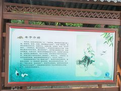 -青岛崂山太清宫