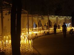 -维斯特·夜烤牛肋条任吃