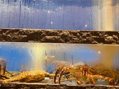 -鱼乐轩海鲜专门店