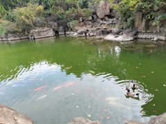 -白马涧龙池景区