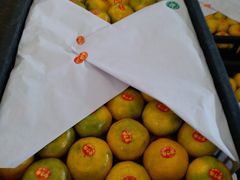 澳桔-西郊国际农产品交易中心