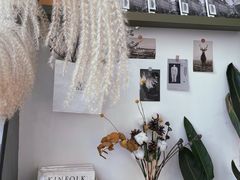 -隹木咖啡馆(宝龙广场店)