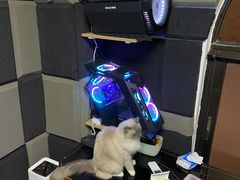 -零纪元VR体验馆·桌游(黄浦店)