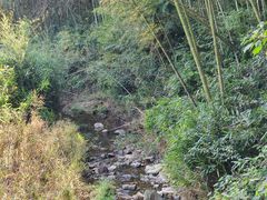 -宁波浙东大竹海景区