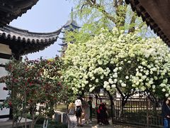 -常熟方塔园