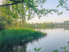 -白鹭湾湿地公园