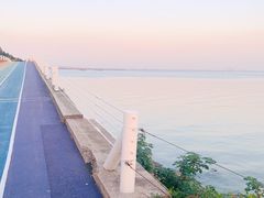 -贡湖湾湿地公园