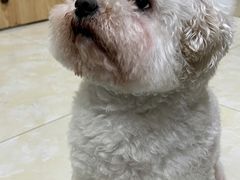 -仁华宠物医院(青羊店)