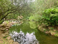 -上海共青森林公园