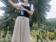 -松山湖梦幻百花洲