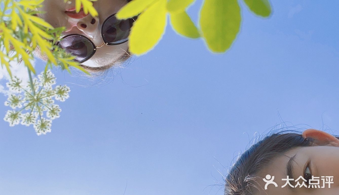 重庆周边游｜和小伙伴一起闯入漫画般的世界