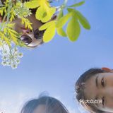 重庆周边游｜和小伙伴一起闯入漫画般的世界