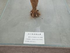 -大金山风景区