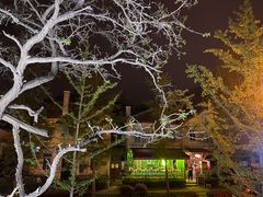 -LAMP BAR 水烟音乐酒吧